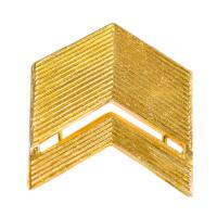 Лычки ВС старшина золотые