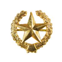 Эмблема петличная ВС общевойсковая золотая