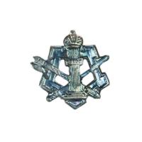 Эмблема петличная ФСИН полевая