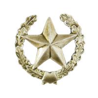 Эмблема петличная ВС общевойсковая