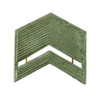 Лычки ВС старшина защитные