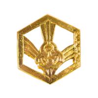 Эмблема петличная ВС РХБЗ золотая