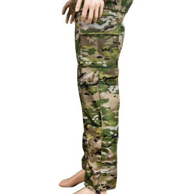 Костюм (брючный) на флисе, цвет мультикам