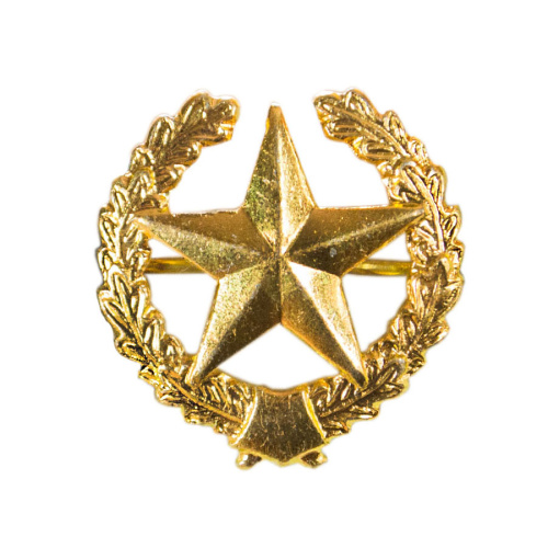 Эмблема петличная ВС общевойсковая золотая