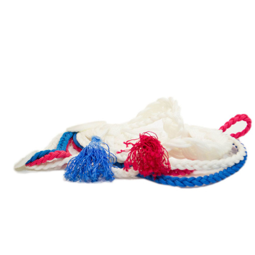 Аксельбант