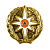 Эмблема петличная МЧС золотая